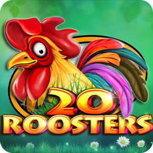 20 ROOSTERS