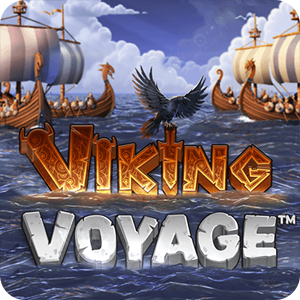 VIKING VOYAGE