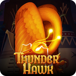 THUNDER HAWK
